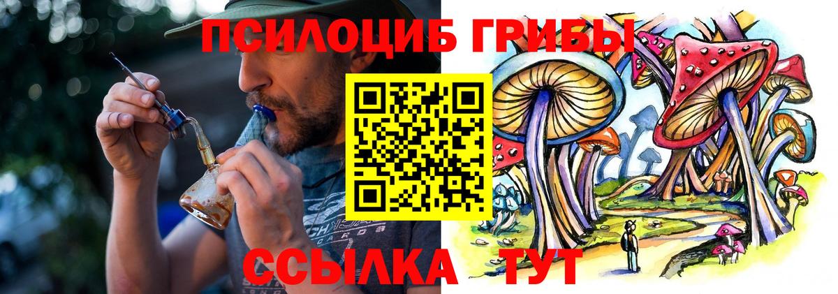 Галлюциногенные грибы Magic Shrooms Ефремов